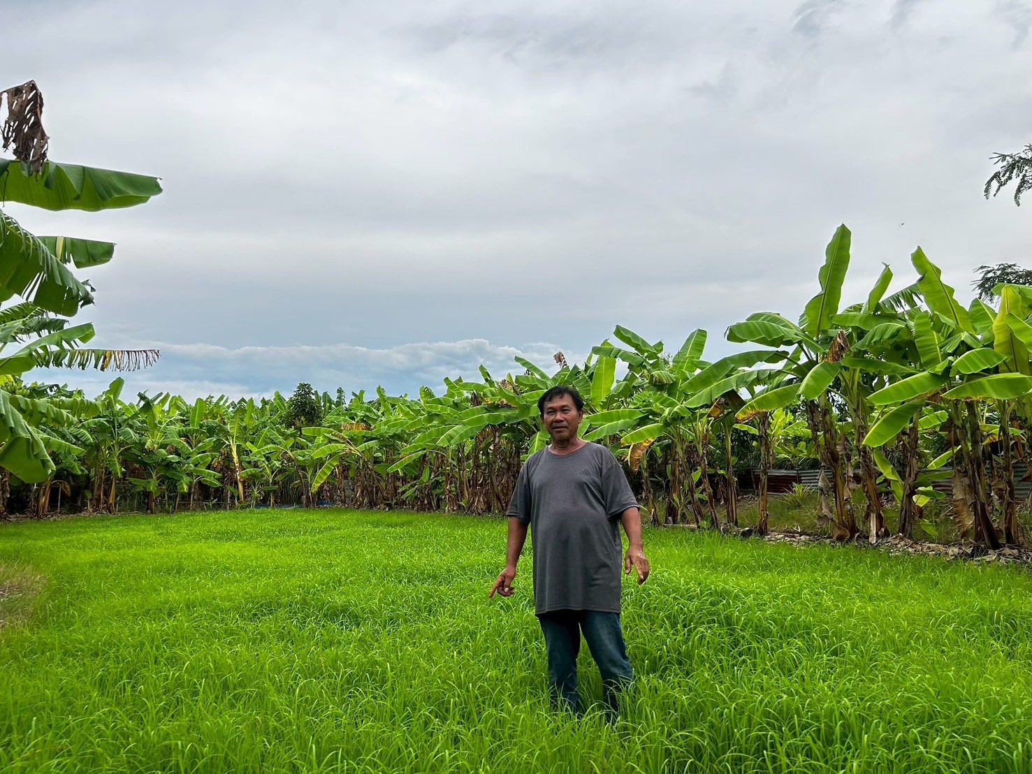 อำเภอหนองม่วง โดยสำนักงานพัฒนาชุมชนอำเภอหนองม่วงประชาสัมพันธ์ศูนย์เรียนรู้ โคก หนอง นา พัฒนาสู่แหล่งท่องเที่ยวเชิงเรียนรู้ตามเเนวทางกรมการพัฒนาชุมชน